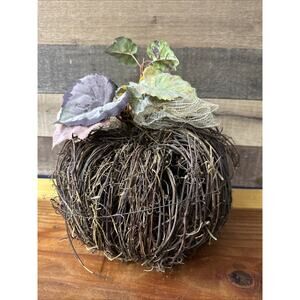 Grapevine Pumpkin Fall Halloween Decor 11”